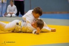 22.06.2024 Wachau JUDO Kids Cup